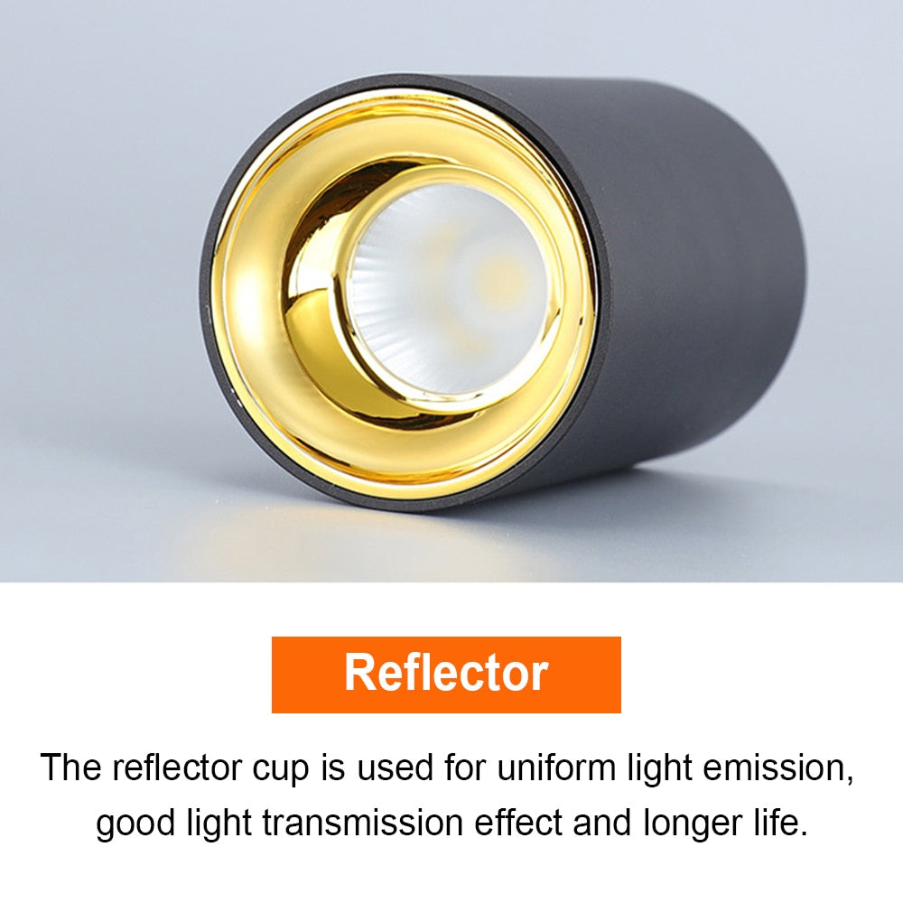 Surface Mounted 2 Colors LED Downlight COB Spot Light Anti Glare Ceiling Lamp