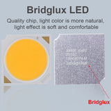 Surface Mounted 2 Colors LED Downlight COB Spot Light Anti Glare Ceiling Lamp