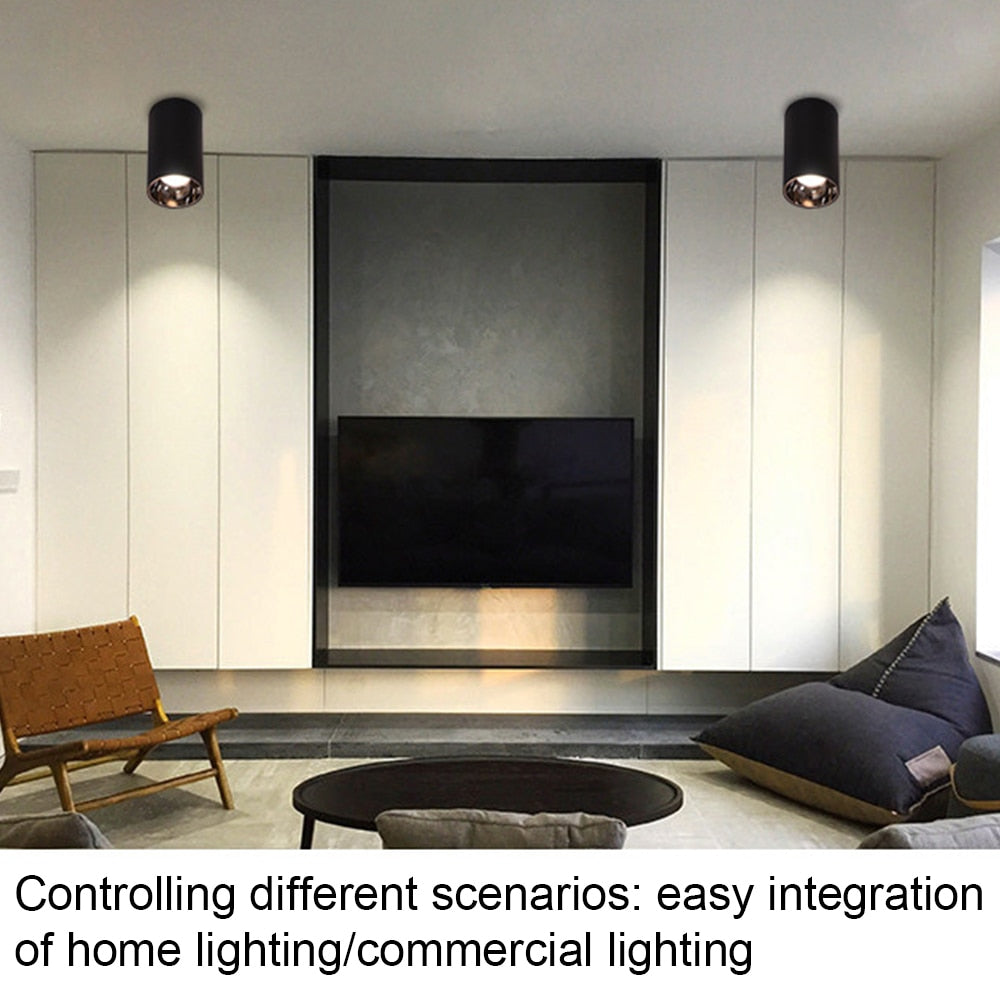 Surface Mounted 2 Colors LED Downlight COB Spot Light Anti Glare Ceiling Lamp