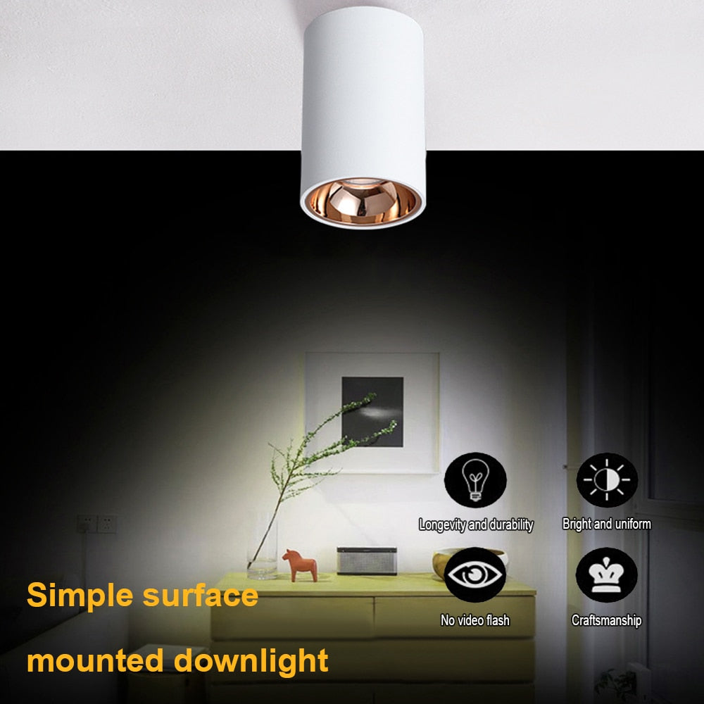 Surface Mounted 2 Colors LED Downlight COB Spot Light Anti Glare Ceiling Lamp