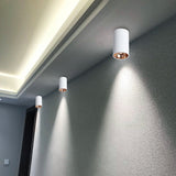 Surface Mounted 2 Colors LED Downlight COB Spot Light Anti Glare Ceiling Lamp