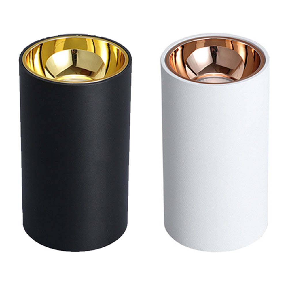 Surface Mounted 2 Colors LED Downlight COB Spot Light Anti Glare Ceiling Lamp