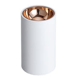 Surface Mounted 2 Colors LED Downlight COB Spot Light Anti Glare Ceiling Lamp