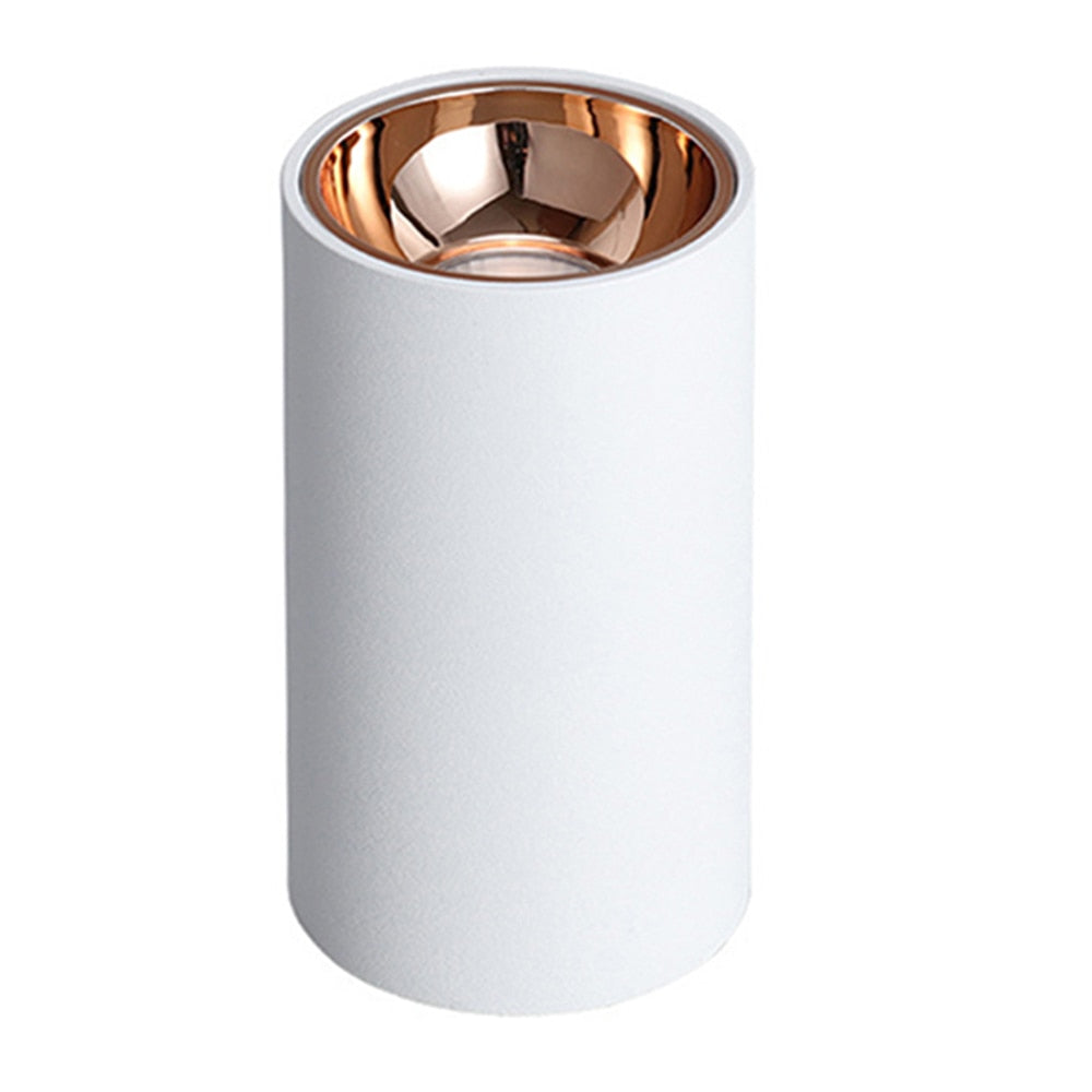 Surface Mounted 2 Colors LED Downlight COB Spot Light Anti Glare Ceiling Lamp