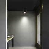 Surface Mounted 2 Colors LED Downlight COB Spot Light Anti Glare Ceiling Lamp