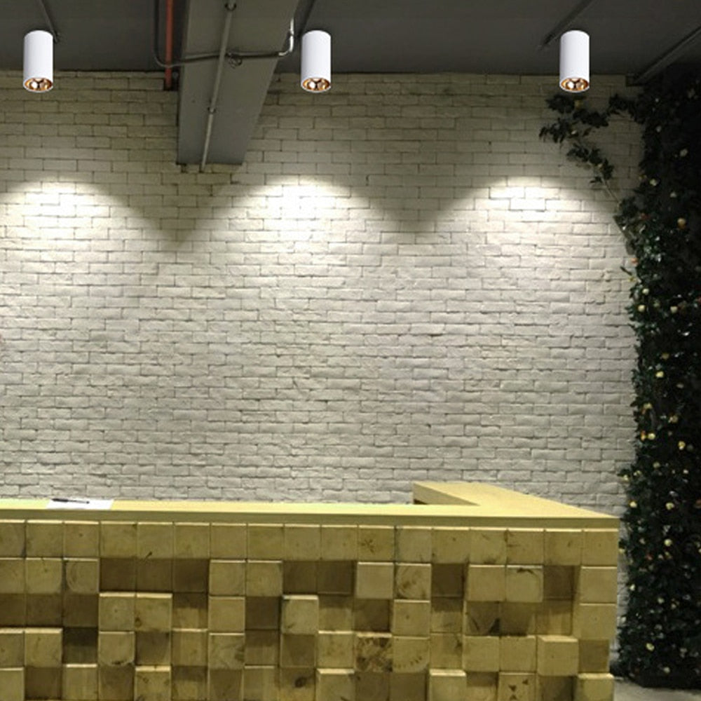 Surface Mounted 2 Colors LED Downlight COB Spot Light Anti Glare Ceiling Lamp