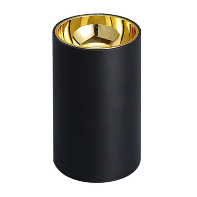 Surface Mounted 2 Colors LED Downlight COB Spot Light Anti Glare Ceiling Lamp