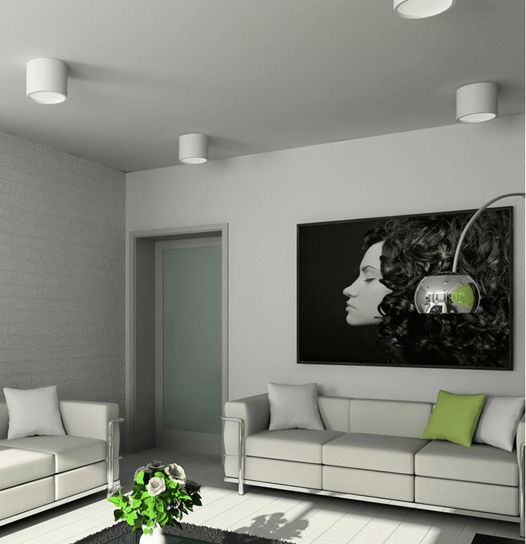 Surface Mounted Ceiling Downlight SMD5730 5W 7W 12W 18W AC85-265V lamp COB Led downlights Ceiling Spot light +led driver