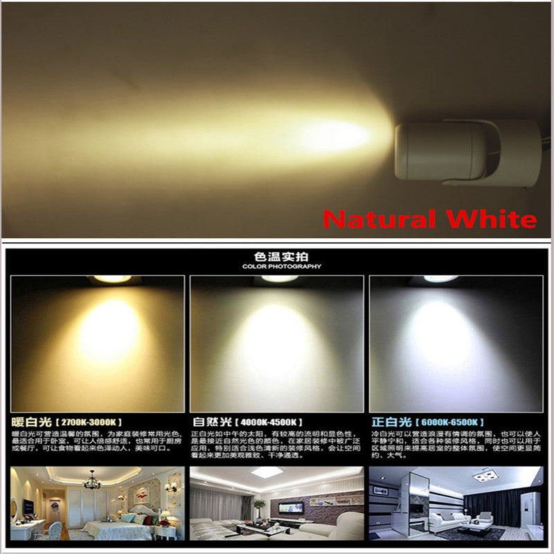 Led downlights Surface Mounted Ceiling Spot light 360 degree Rotation 10W 20W COB Ceiling Downlight White AC85-265V + Driver
