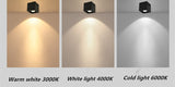 High quality Surface Mounted Adjustment LED COB Dimmable Downlights 10W 15W 20W 30W LED Ceiling Lamp Spot Lights AC85V-265V