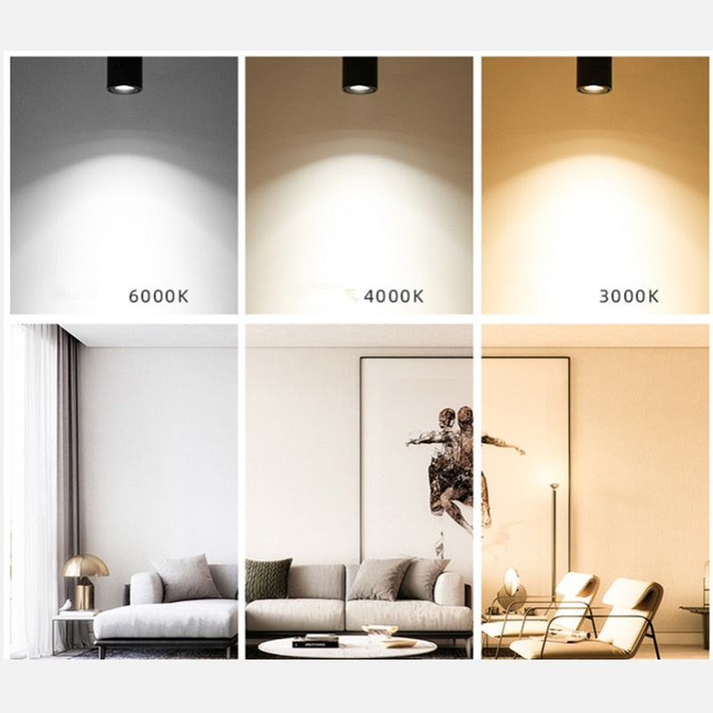 Surface Mounted Mini Embedded COB LED Downlights 5W 7W 12W 360 degree rotation LED Ceiling Lamp Spot Light Downlight