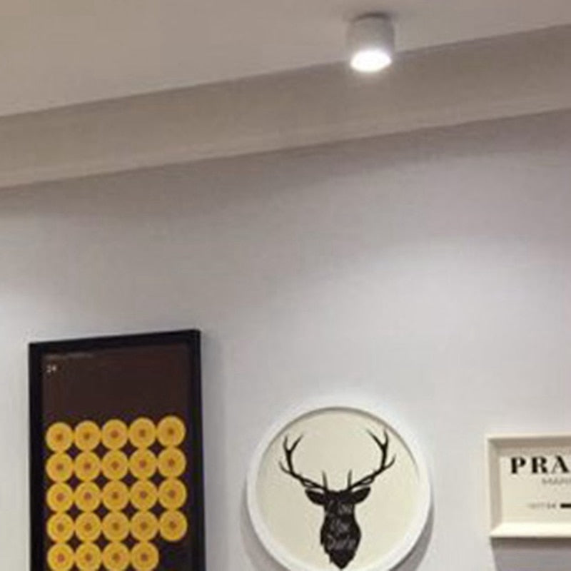 Surface Mounted LED Downlight COB Spotlight, Suitable For Living Room, Bedroom, Kitchen, Bathroom, Corridor