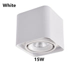 Dimmable Square LED Mounted Down Lamp LED Ceiling Lights 10W 20W AC110V 220V Downlight Direction Adjustable Indoor Lighting