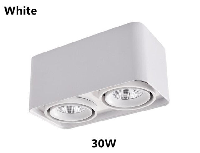 Dimmable Square LED Mounted Down Lamp LED Ceiling Lights 10W 20W AC110V 220V Downlight Direction Adjustable Indoor Lighting