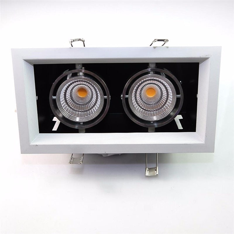 NEW High Power 2x10W COB LED Downlights Dimmable AC110V 220V 20W LED Recessed Ceiling Lamps LED Indoor Lighting 12 pcs