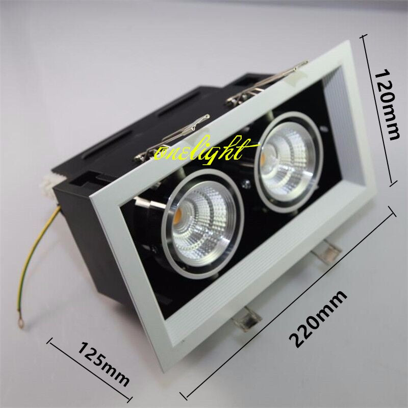 NEW High Power 2x10W COB LED Downlights Dimmable AC110V 220V 20W LED Recessed Ceiling Lamps LED Indoor Lighting 12 pcs