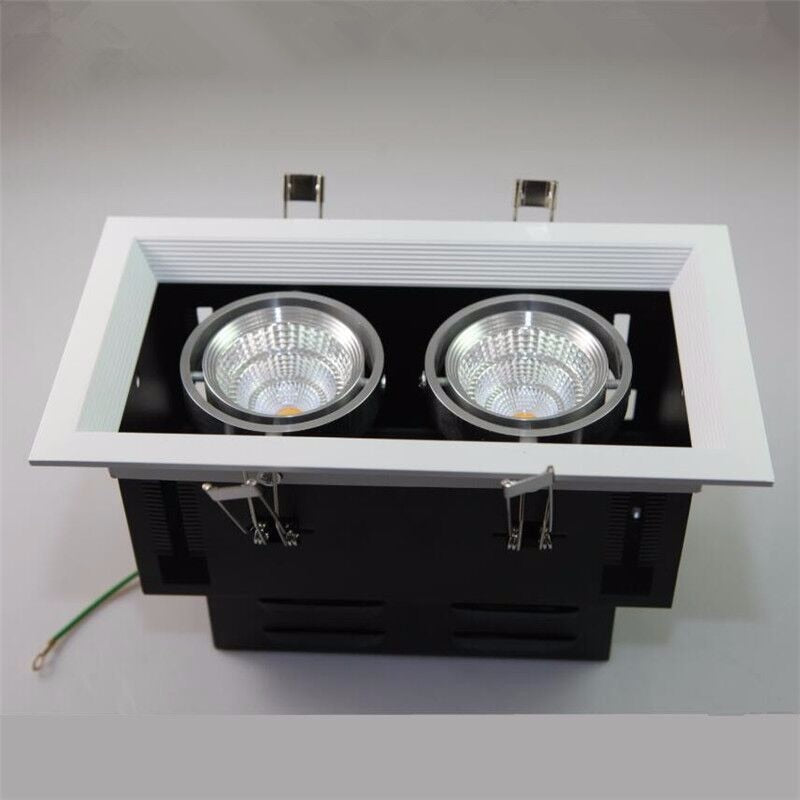 NEW High Power 2x10W COB LED Downlights Dimmable AC110V 220V 20W LED Recessed Ceiling Lamps LED Indoor Lighting 12 pcs