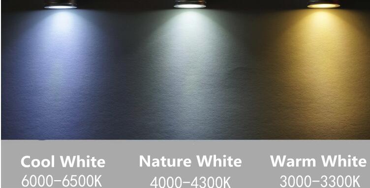 LED Downlight CE ROSH High Quality Round 3W Dimmable COB Mini Spot LED Downlights Indoor Home Lamps