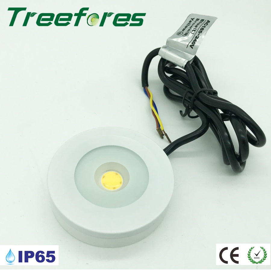 Triac Dimming Cabinet Kitchen Downlight IP65 3W 5W AC100V-240V Driverless LED Spot Lighting CE Spotlight Ceiling