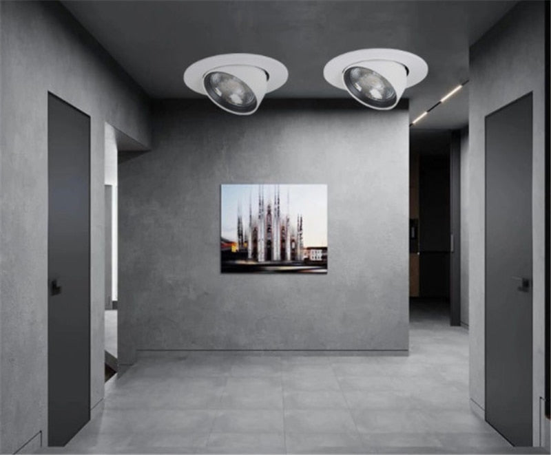 LED Recessed Spot 3W / 5W / 7W / 12W Foldable 350 ° Rotating Dimmable COB downlight Stretchable LED Spot light Indoor Lighting