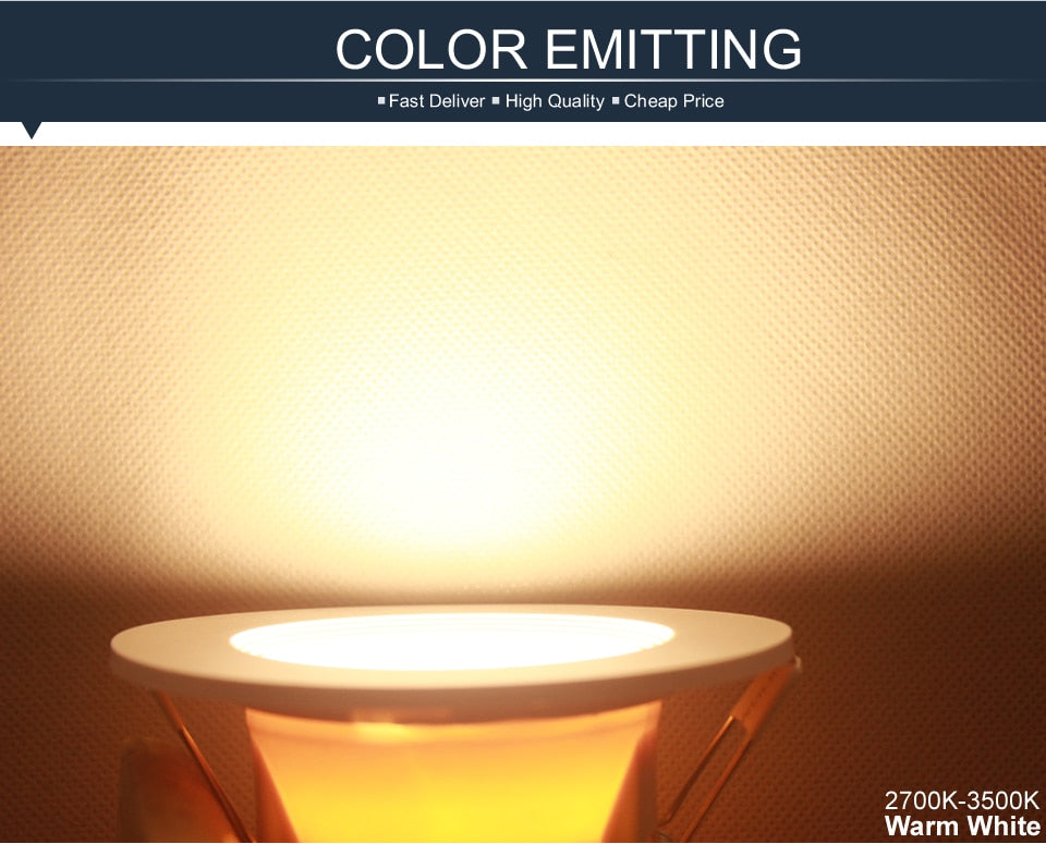 Wholesale 3W 5w LED Downlights ac 110V 220V 240V led bulb Warm white Cold white led lights