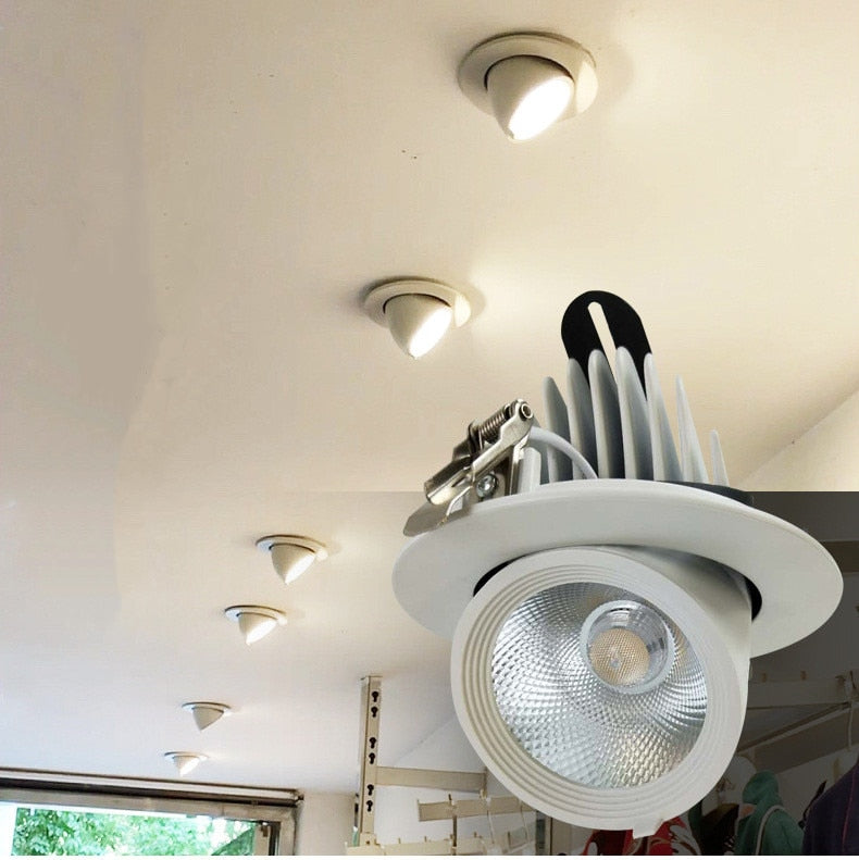 Dimmable LED Downlights Indoor Lighting 10W 15W 20W 30W, AC85-265V Adjustable 360° COB