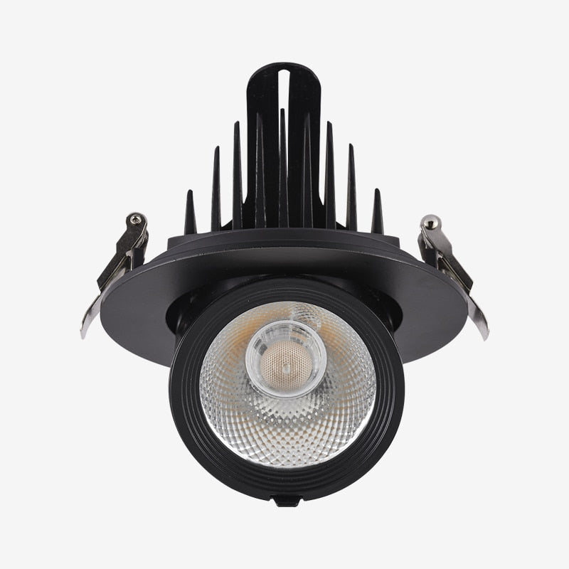 Dimmable LED Downlights Indoor Lighting 10W 15W 20W 30W, AC85-265V Adjustable 360° COB