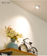 Dimmable LED Downlights Indoor Lighting 10W 15W 20W 30W, AC85-265V Adjustable 360° COB