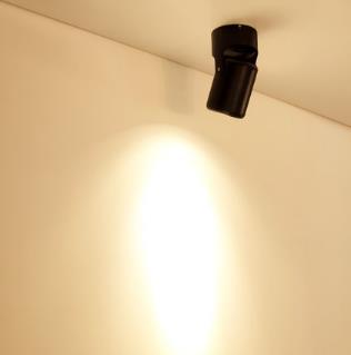 Hoge Kwaliteit Dimbare Roterende Led Downlighters Opbouw Aanpassing Cob Ac85-265V 10W 12W 15W 18W Led Plafond Lamp Spot Verlichting