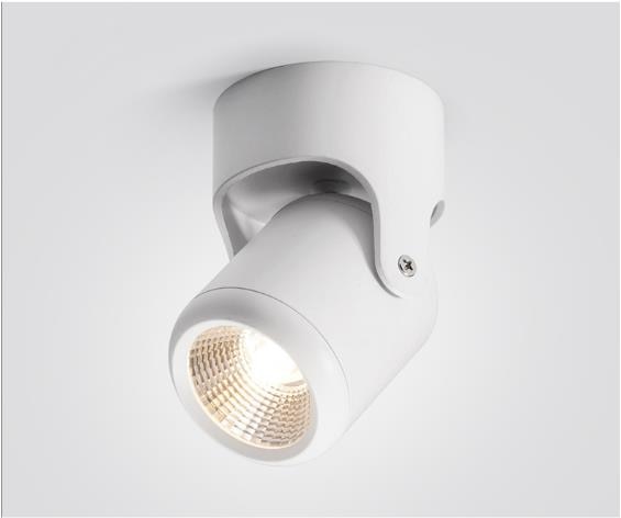 Hoge Kwaliteit Dimbare Roterende Led Downlighters Opbouw Aanpassing Cob Ac85-265V 10W 12W 15W 18W Led Plafond Lamp Spot Verlichting