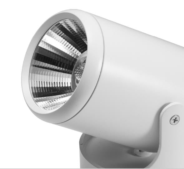 Hoge Kwaliteit Dimbare Roterende Led Downlighters Opbouw Aanpassing Cob Ac85-265V 10W 12W 15W 18W Led Plafond Lamp Spot Verlichting