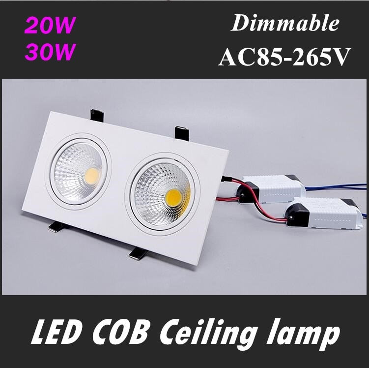 Double square Dimmable Led downlight light COB Ceiling Spot Light 20w 30W LED ceiling recessed Lights Indoor Lighting
