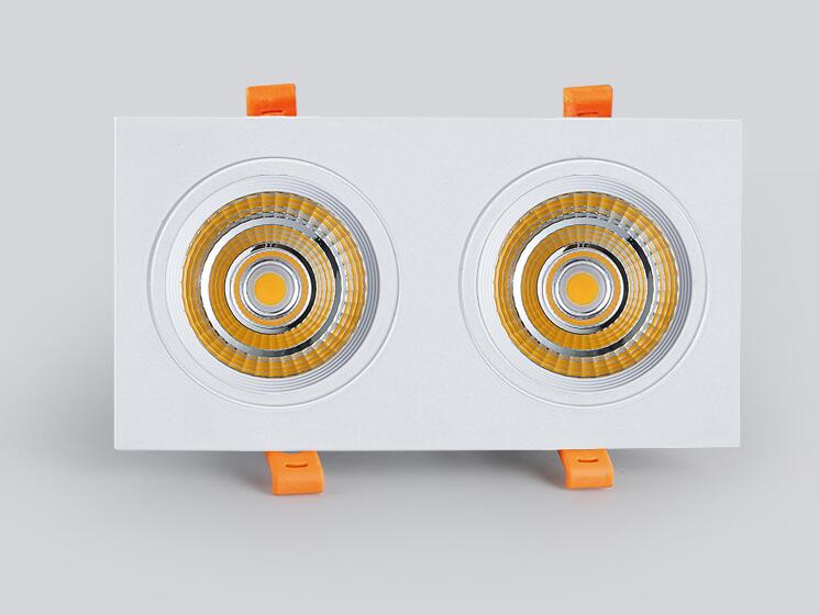Double square Dimmable Led downlight light COB Ceiling Spot Light 20w 30W LED ceiling recessed Lights Indoor Lighting