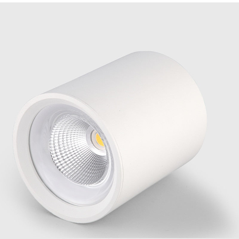 Dimmable Round Surface Mounted LED Downlights 9W 12W 15W 20W COB LED Ceiling Spot Light AC85-265V LED Ceiling Lamp Indoor Lighting