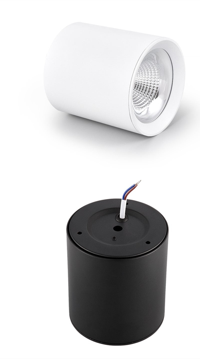 Dimmable Round Surface Mounted LED Downlights 9W 12W 15W 20W COB LED Ceiling Spot Light AC85-265V LED Ceiling Lamp Indoor Lighting