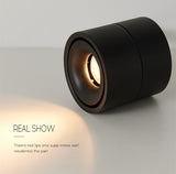 Dimmable LED Downlights Surface Mounted COB LED Spot Ceiling Lamp 9W 12W 15W 18W Foldable And 360° Rotatable Background