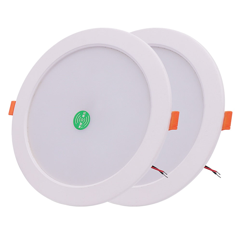 AC 220V LED Downlight Smart Voice Control Ceiling Lamp 3W 5W 9W 18W Ceiling Spot Light Recessed Lamp White Warm White Downlight