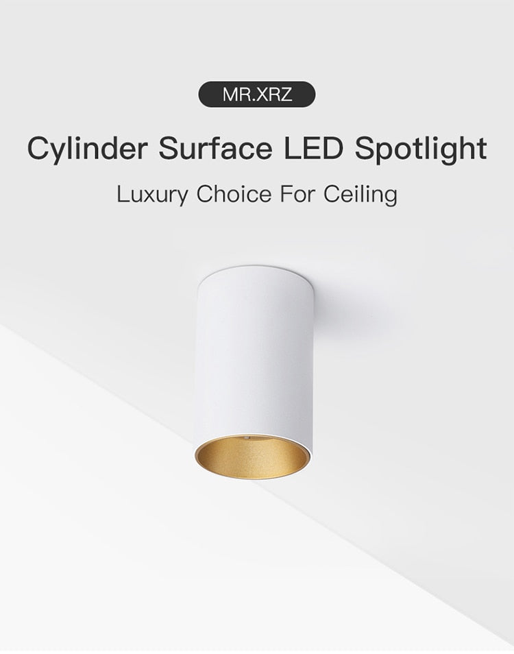 XRZLux Round Surface Mounted Led Downlights 10W COB LED Ceiling Spot Lights Aluminum Anti-glare LED Lamp Indoor Lighting