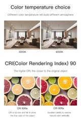 XRZLux Round Surface Mounted Led Downlights 10W COB LED Ceiling Spot Lights Aluminum Anti-glare LED Lamp Indoor Lighting