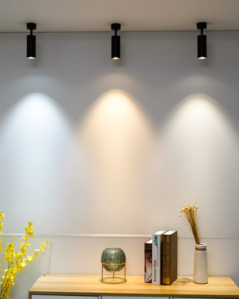 Foldable 360° Rotatable LED Downlights Surface Mounted COB LED Ceiling Spot lights 7W 10W 12W LED Lamps Background Wall Lighting