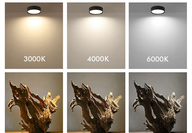 Ultra-thin 220V Led Downlight 24W 18W 12W 9W 7W 5W Surface Mounted Lamp Bedroom Spot lights Living room Kitchen Indoor Lighting