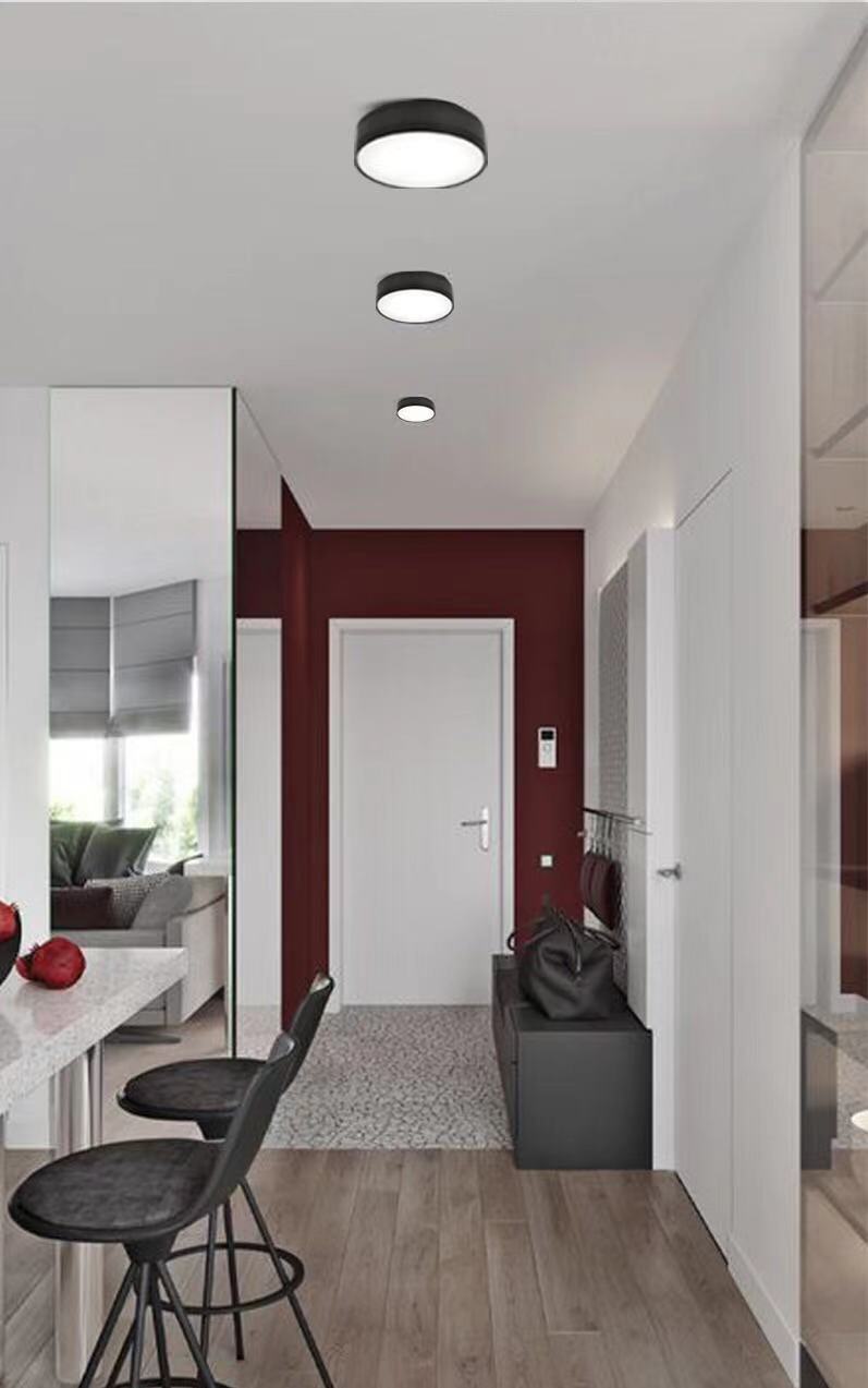 Ultra-thin 220V Led Downlight 24W 18W 12W 9W 7W 5W Surface Mounted Lamp Bedroom Spot lights Living room Kitchen Indoor Lighting