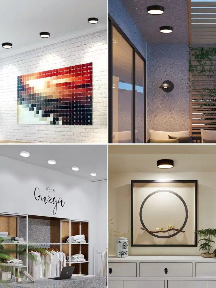 Ultra-thin 220V Led Downlight 24W 18W 12W 9W 7W 5W Surface Mounted Lamp Bedroom Spot lights Living room Kitchen Indoor Lighting