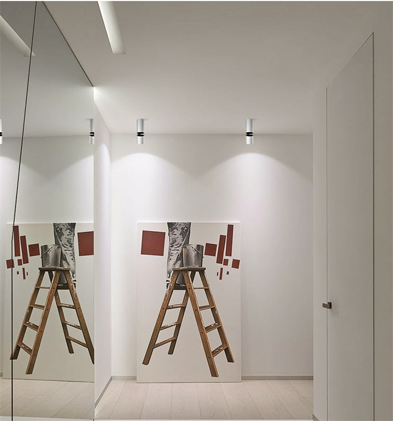 Led Surface Mounted Ceiling Downlight 3W 7W 10W ,Adjustable 360 degrees Spot light for indoor Foyer,Living Room Kitchen