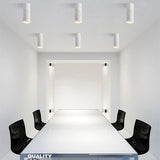 High quality Surface Mounted Rotating LED COB dimmable Downlights ac85-265V 10W 15W 20W LED Ceiling Lamp Spot Lights