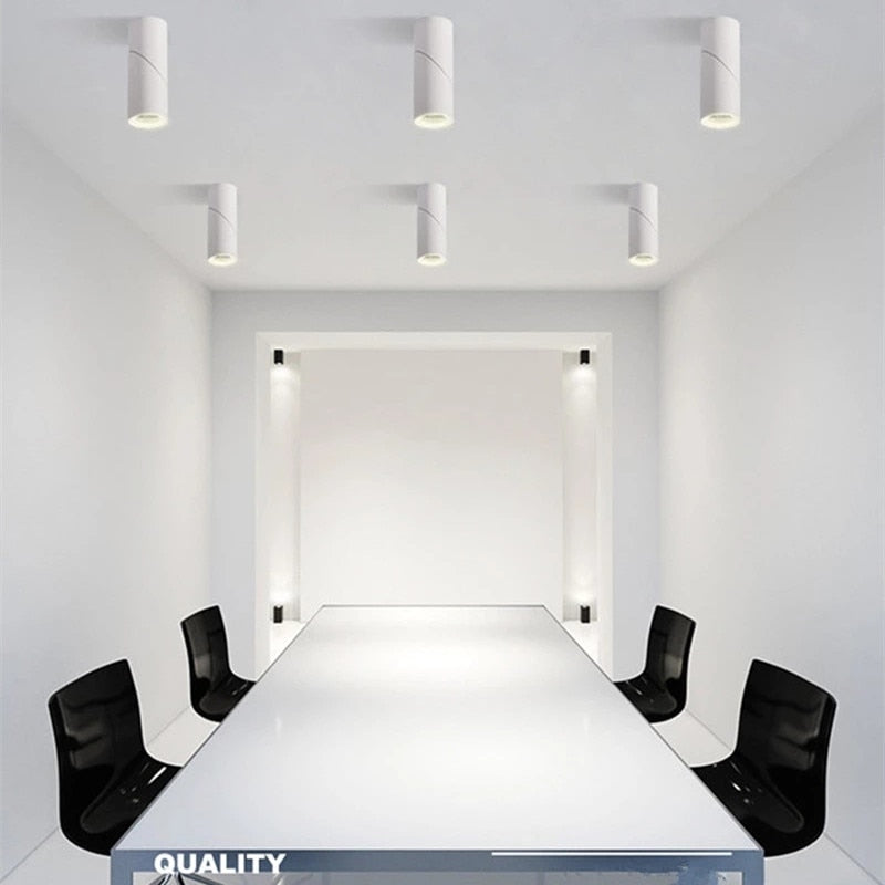 High quality Surface Mounted Rotating LED COB dimmable Downlights ac85-265V 10W 15W 20W LED Ceiling Lamp Spot Lights