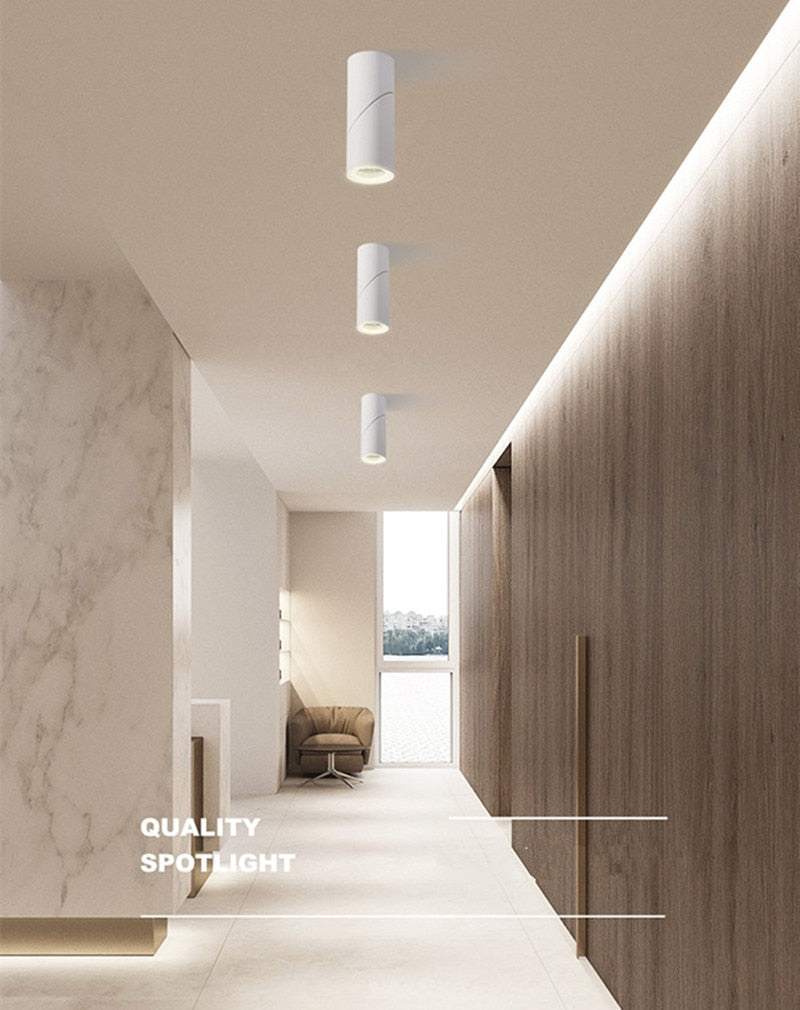 High quality Surface Mounted Rotating LED COB dimmable Downlights ac85-265V 10W 15W 20W LED Ceiling Lamp Spot Lights