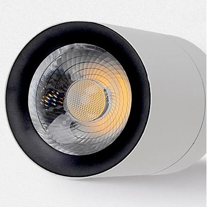 Led COB lamp LED Downlights 7W 12W 20W 30W Surface Mounted LED Ceiling Lamps Spot Light Rotation LED Lamp