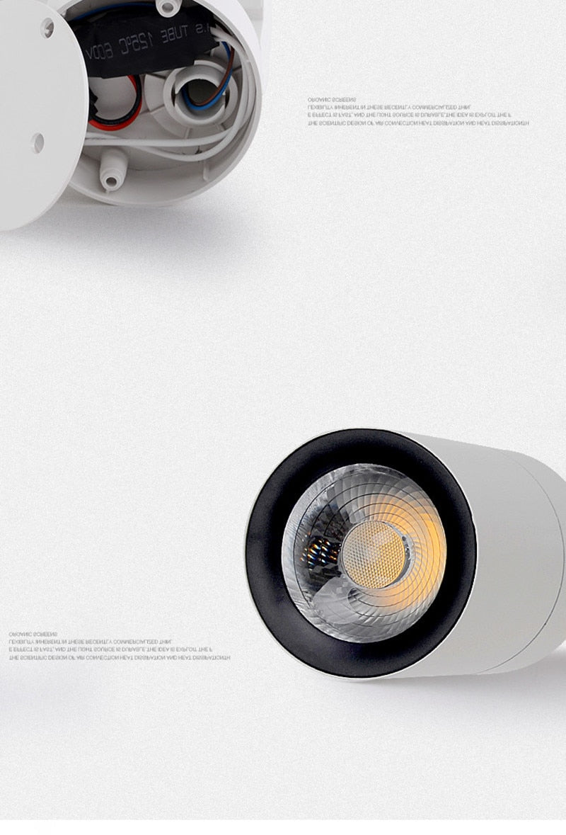 Led COB lamp LED Downlights 7W 12W 20W 30W Surface Mounted LED Ceiling Lamps Spot Light Rotation LED Lamp