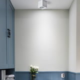 Led Downlight 110V 220V Surface Mounted Ceiling Downlight Spot Led COB 10W 20W Living Room Office Coffee Stores Spot Lighting